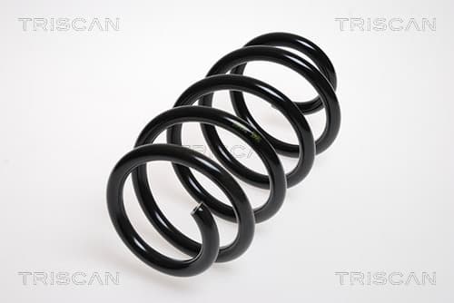 Spiralfjäder bak från TRISCAN