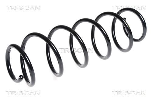 Spiralfjäder bak från TRISCAN