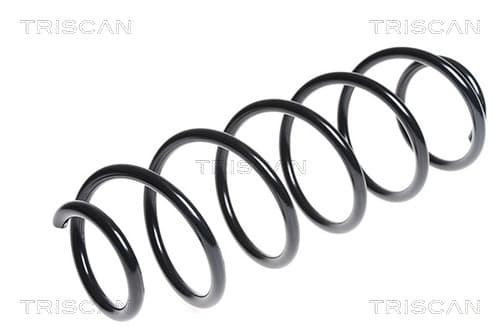 Spiralfjäder bak från TRISCAN