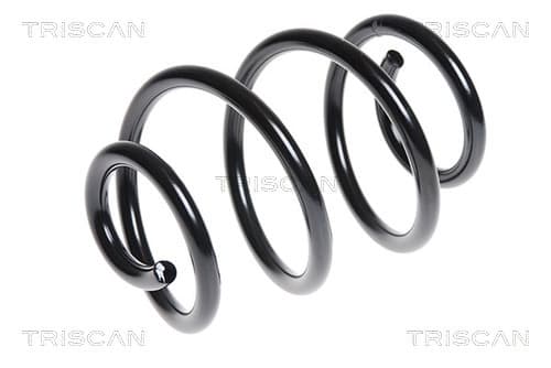 Spiralfjäder bak från TRISCAN