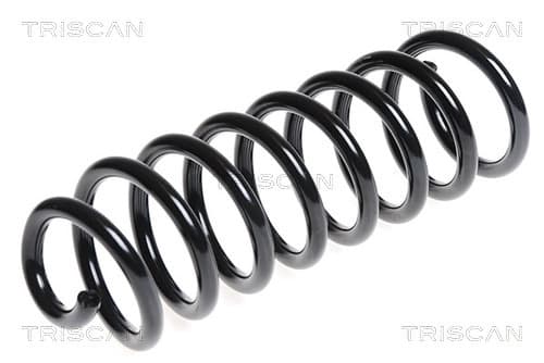 Spiralfjäder bak från TRISCAN