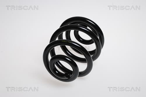 Spiralfjäder bak från TRISCAN