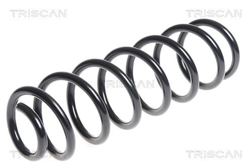 Spiralfjäder bak från TRISCAN