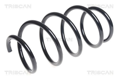 Spiralfjäder fram från TRISCAN