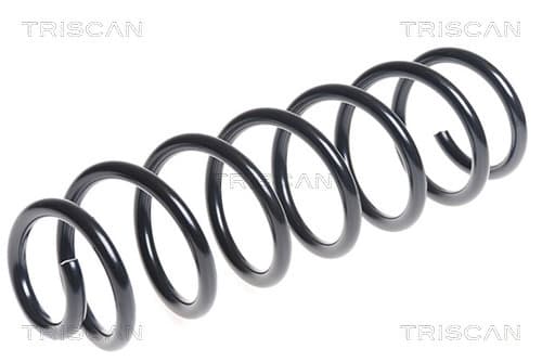 Spiralfjäder bak från TRISCAN
