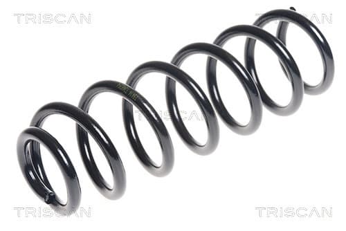 Spiralfjäder bak från TRISCAN