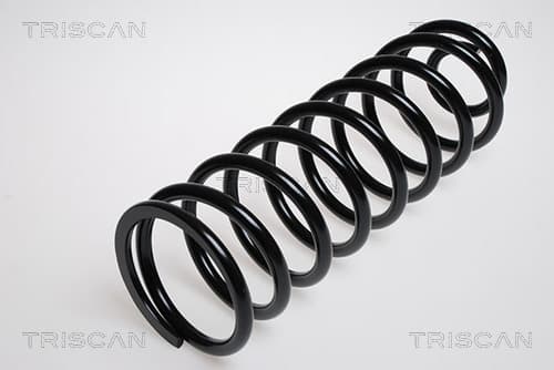 Spiralfjäder bak från TRISCAN