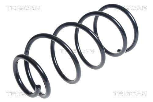 Spiralfjäder fram från TRISCAN
