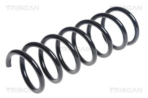 Spiralfjäder bak från TRISCAN