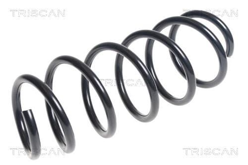 Spiralfjäder fram från TRISCAN