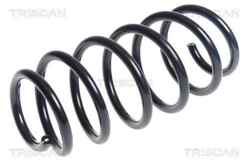 Spiralfjäder fram från TRISCAN