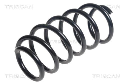 Spiralfjäder fram från TRISCAN
