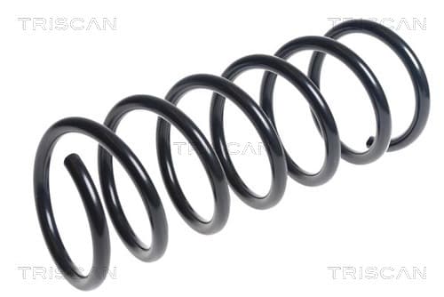 Spiralfjäder bak — Bakaxel från TRISCAN