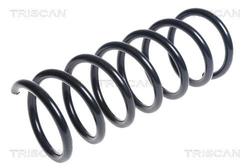 Spiralfjäder bak från TRISCAN