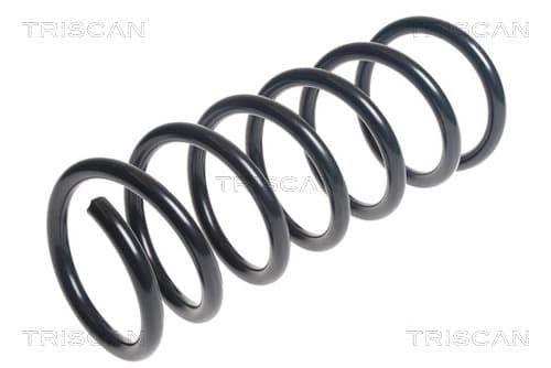 Spiralfjäder bak från TRISCAN