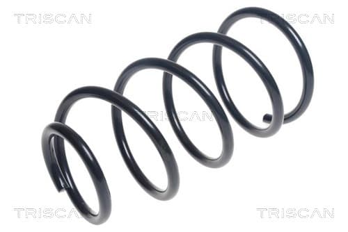 Spiralfjäder fram från TRISCAN