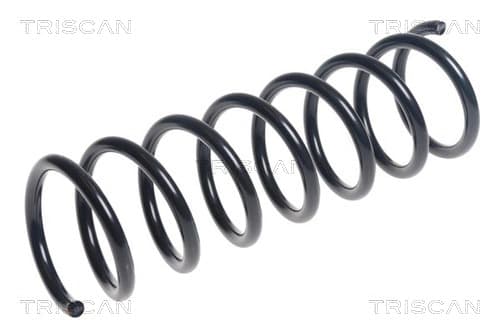 Spiralfjäder bak från TRISCAN