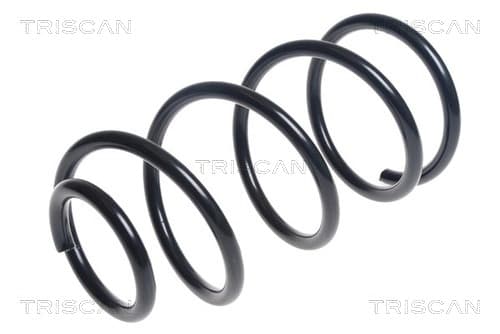Spiralfjäder fram från TRISCAN