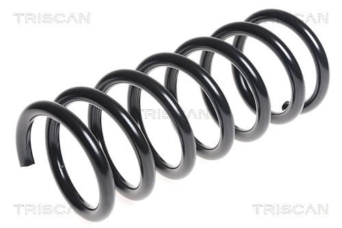Spiralfjäder bak från TRISCAN