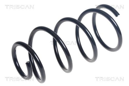 Spiralfjäder fram från TRISCAN