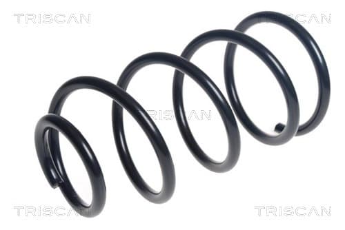 Spiralfjäder fram från TRISCAN