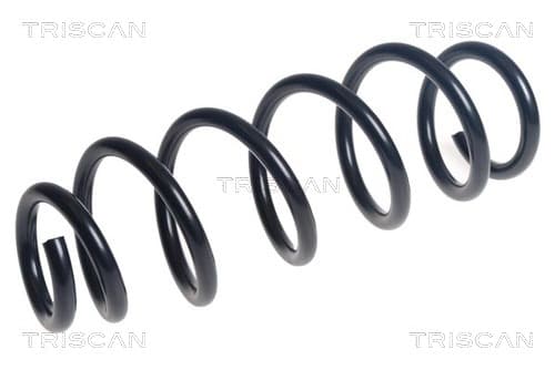 Spiralfjäder fram från TRISCAN