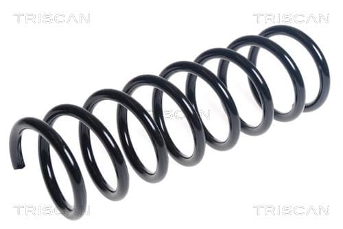 Spiralfjäder bak från TRISCAN