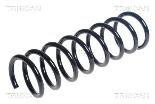 Spiralfjäder bak från TRISCAN