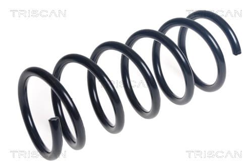 Spiralfjäder bak från TRISCAN