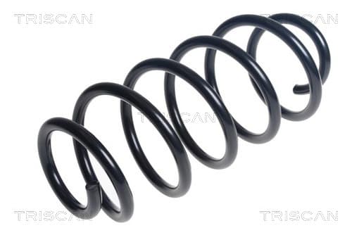 Spiralfjäder fram från TRISCAN