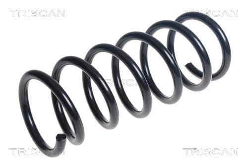 Spiralfjäder bak från TRISCAN