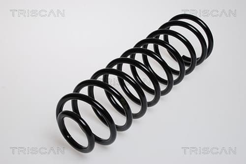 Spiralfjäder bak från TRISCAN