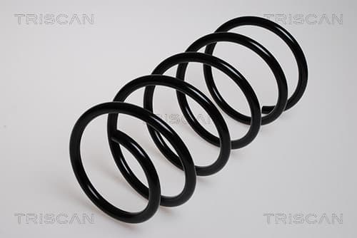 Spiralfjäder fram från TRISCAN
