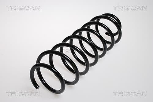 Spiralfjäder fram från TRISCAN