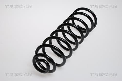 Spiralfjäder bak från TRISCAN