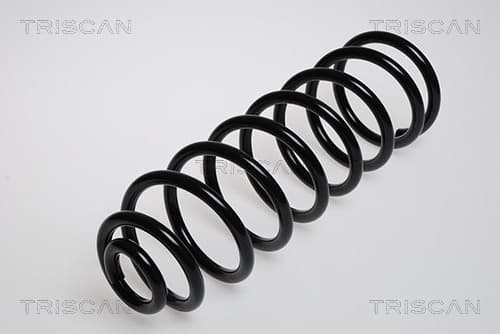 Spiralfjäder bak från TRISCAN