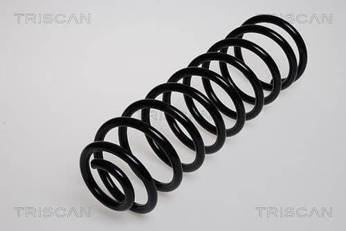 Spiralfjäder bak från TRISCAN