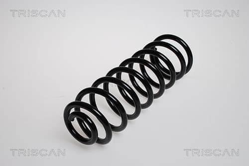 Spiralfjäder bak från TRISCAN