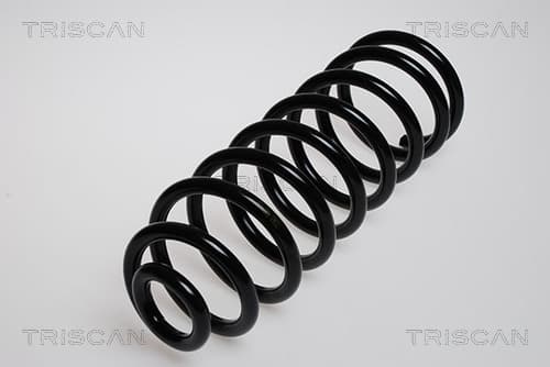 Spiralfjäder bak från TRISCAN