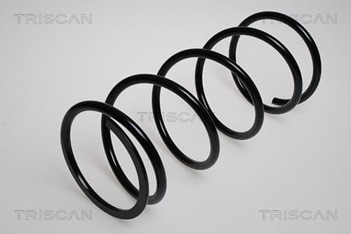 Spiralfjäder fram från TRISCAN