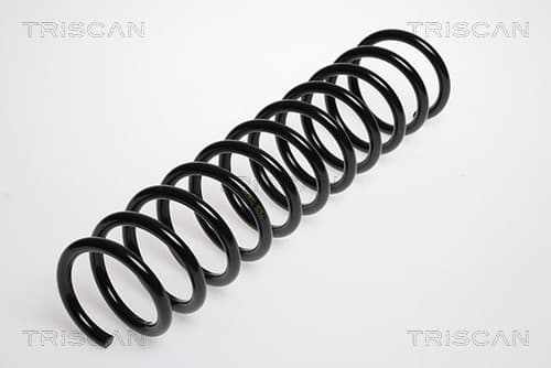 Spiralfjäder bak från TRISCAN