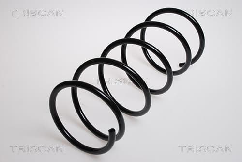 Spiralfjäder fram från TRISCAN