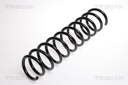 Spiralfjäder bak från TRISCAN