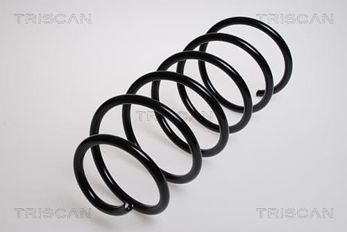 Spiralfjäder fram från TRISCAN