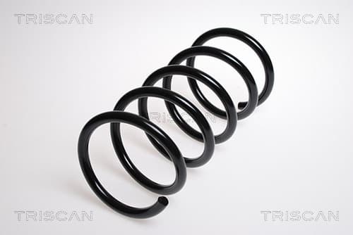 Spiralfjäder bak från TRISCAN