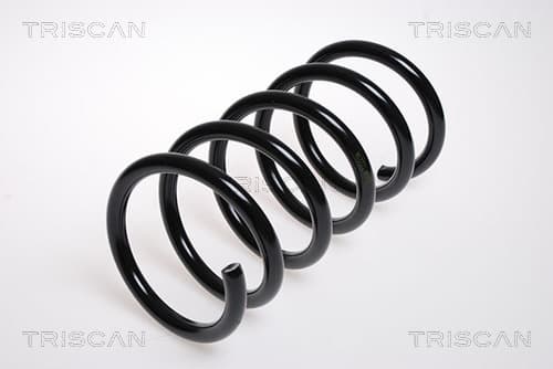 Spiralfjäder bak från TRISCAN