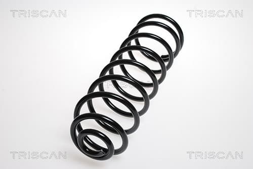 Spiralfjäder bak från TRISCAN