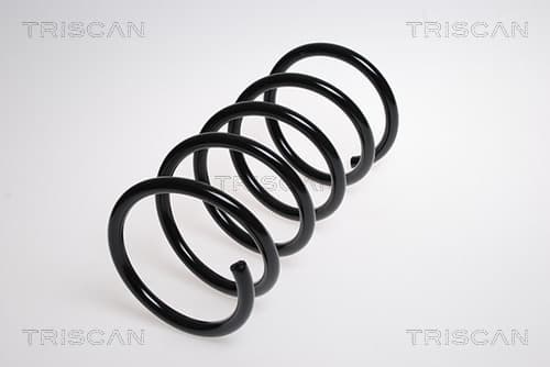 Spiralfjäder bak från TRISCAN