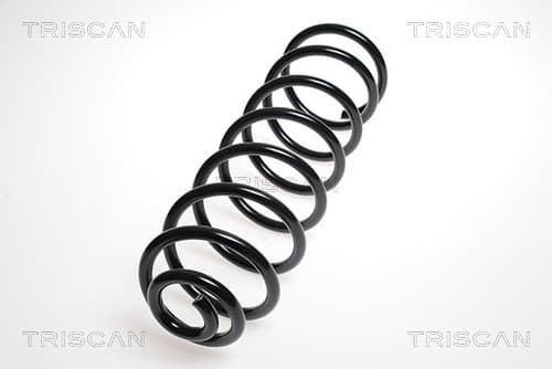 Spiralfjäder bak från TRISCAN