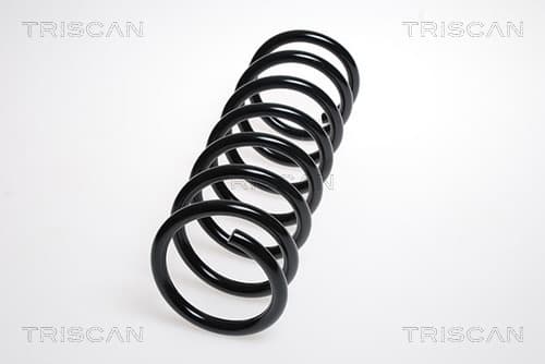 Spiralfjäder bak från TRISCAN